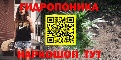 мдпв Новодвинск