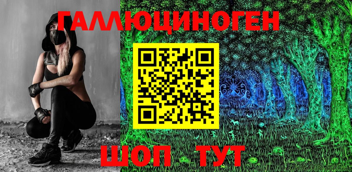 Урус-Мартан  купить наркотик  Галлюциногенные грибы Psilocybine cubensis  Вход с VPN  Псилоцибиновые грибы прущие грибы 