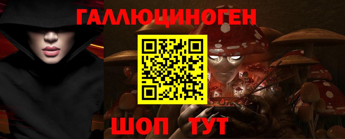 Псилоцибиновые грибы Cubensis Урус-Мартан
